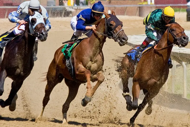 競馬
